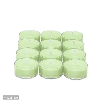 Floryn Decor? Scented Tealight Candles | Fragrance Tealight Candles | Romantic Dinner Candle | Acrylic Tea Light Candle (Lemon Grass, Pack of 20)