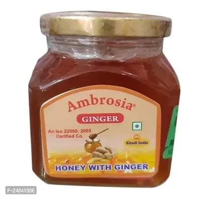 Ambrosia Honey with Ginger-300 Grams