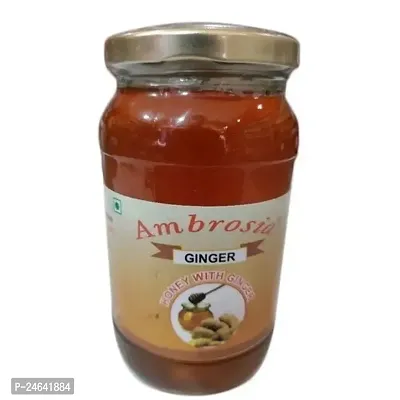 Ambrosia Honey with Ginger-300 Grams