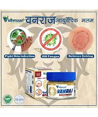 Castle Kart Vidhmaan Ayurveda Vanraj Anti fungal Malam = for Ringworm, itching, Eczema  Fungal Infection. (Pack Of 1)-thumb2