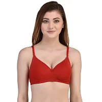 YoBelly Non-Wired Padded Fancy Bra for Girls  Women-thumb1