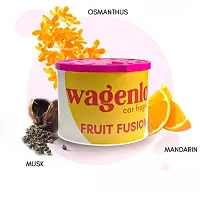 Wagenlov Fruit Fusion Car Dashboard Air Perfumes - Pack of 2 Car Freshener  (130 g)-thumb1