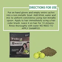 Indica Natural Black PowderHerbal Hair Colour - Pack Of 1 (40g)-thumb1