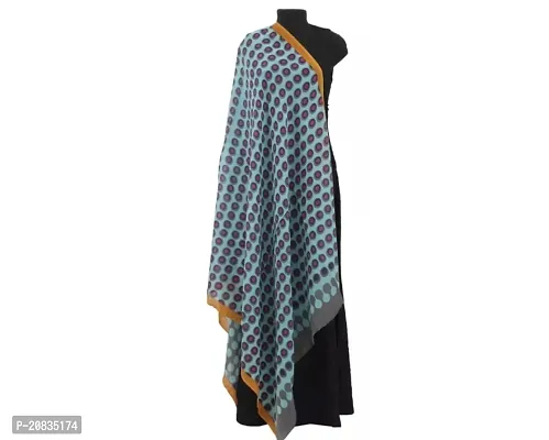 Elite Multicoloured Woolen Printed Shawls For Women-thumb0