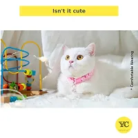 YellowCult&#8482; 3 Pieces Cat Collars - Unique Frill Design, with Bell, Adjustable Strap, and Safety Release Buckle [Modern Design for Your Cute Cats, Puppies & Small Dogs- Exotic Pink, Blue & Purple]-thumb1