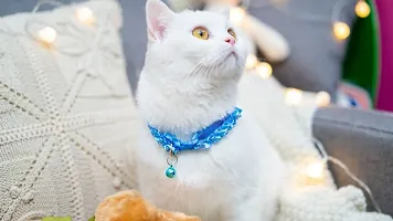 1 Piece Cat Collar - Unique Frill Design, with Bell, Adjustable Strap, and Safety Release Buckle [Modern Design for Your Cute Cats, Puppies  Small Dogs- Peaceful Blue]-thumb2