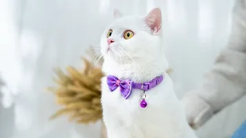 1pcs purple classic Bow Cat collar with Bell Adjustable Strap  Safety Release Buckle for Cats, Puppies  Small Dogs-thumb1