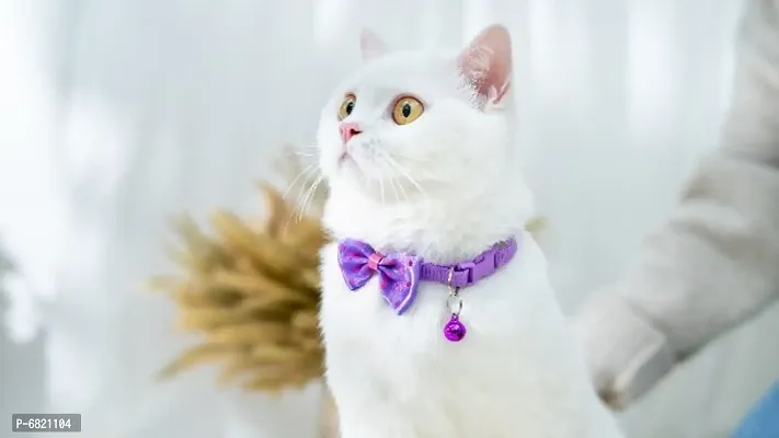 1pcs purple classic Bow Cat collar with Bell Adjustable Strap  Safety Release Buckle for Cats, Puppies  Small Dogs-thumb2