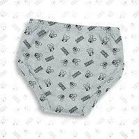 PINE Girls Regular Multicolor Panty (Pack of 10)-thumb3