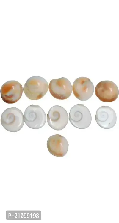 Shree Ganesha Combo of Gomati Chakra and Yellow Kaudi Shells/Kauri/Cowrie (11 piece each) Marble Yantra  (Pack of 22)-thumb2