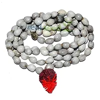 Real Seed Vaijanti Mala/Vaijayanti Mala 108 vaijayanti mala Vijayanti Mala for Japa/Vaijyanti Mala/Vyjanthi mala/Vijayanti Mala, Baijanti Mala, Vaijayanti Mala (108 Beads)-thumb1