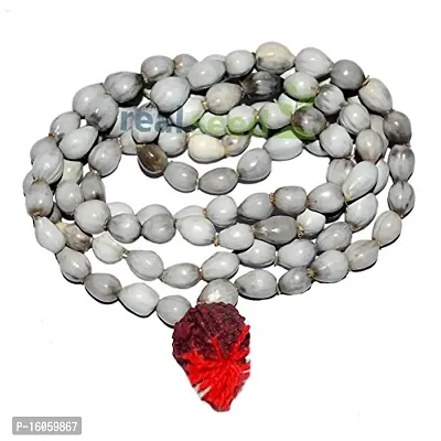 Real Seed Vaijanti Mala/Vaijayanti Mala 108 vaijayanti mala Vijayanti Mala for Japa/Vaijyanti Mala/Vyjanthi mala/Vijayanti Mala, Baijanti Mala, Vaijayanti Mala (108 Beads)-thumb2