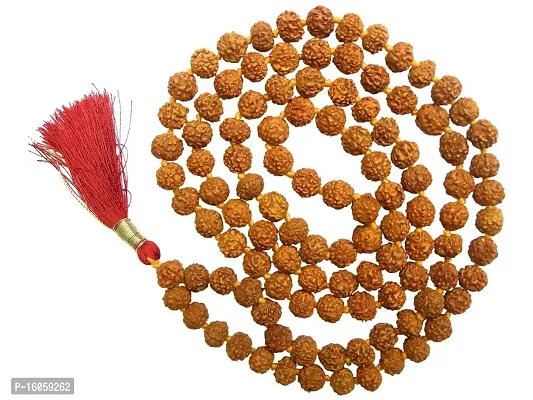 Certified Natural 6 Mukhi Rudraksha Mala, Natural Six 6 Face Rudraksha Mala 108+1 = 109 Beads