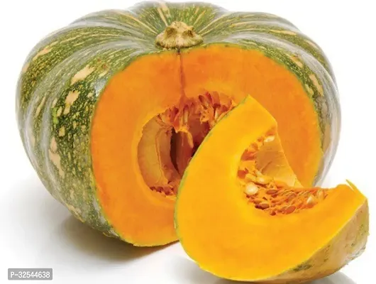 Avysa K107 Pumpkin squash plant Vegetable Cucurbita moschata Seeds, 150 Seeds-thumb0