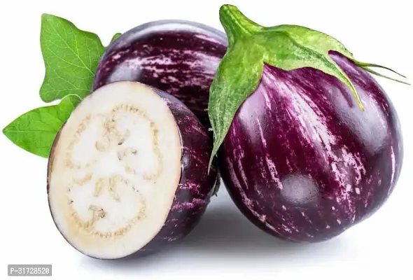 Round Purple Brinjal-114FR- 1200-SD-thumb0