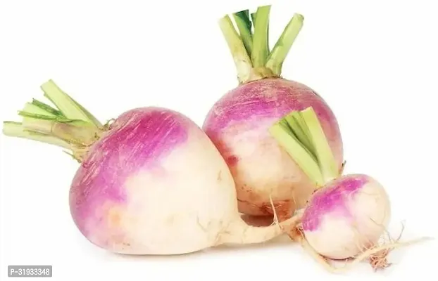 Vegetable Organic Turnip Seeds -200Seeds