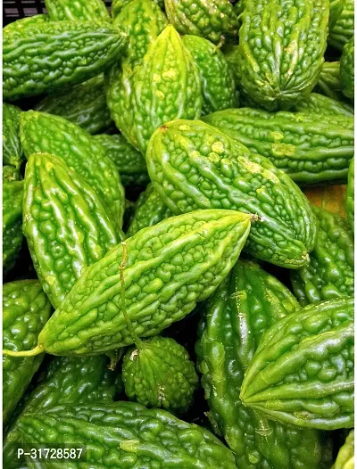 Karela Seeds -KS-1785-300 -Seeds-thumb0