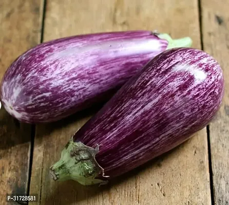 Long Purple Brinjal-253 -FR- 500-SD