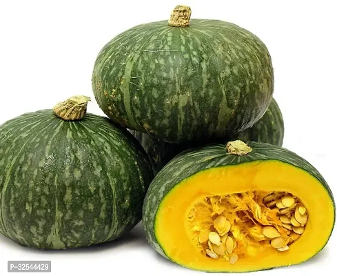 High Quality Pumpkin Squash Vegetable Seed 100