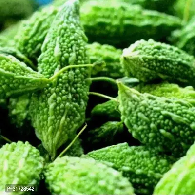 Karela Seeds -KS-1607-250 -Seeds-thumb0