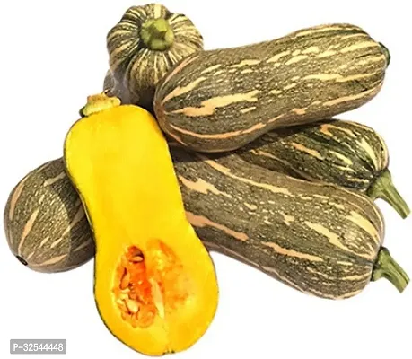 High Quality Pumpkin Squash Vegetable Seed 100