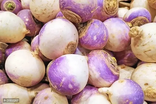 Vegetable Organic Turnip Seeds -1500Seeds-thumb0