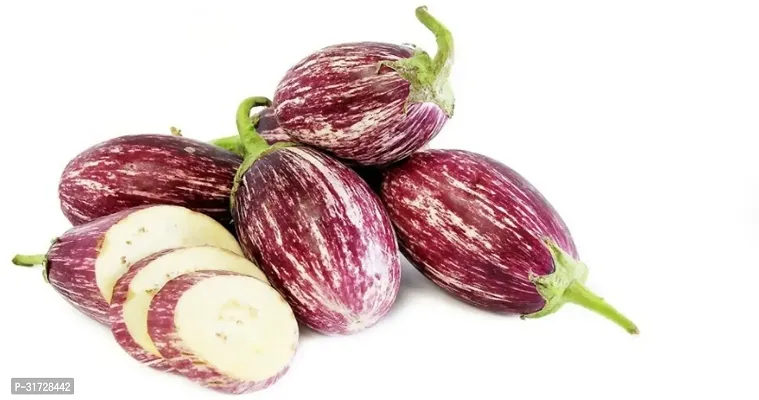 Round Purple Brinjal-138FR- 1000-SD-thumb0