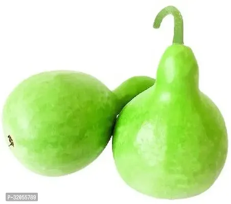 Round Bottle Gourd, Ghiya-100 Seeds per packet-thumb0