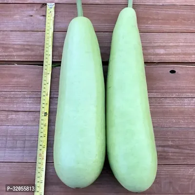 Bottle Gourd Seeds Round-150 Seeds per packet-thumb0