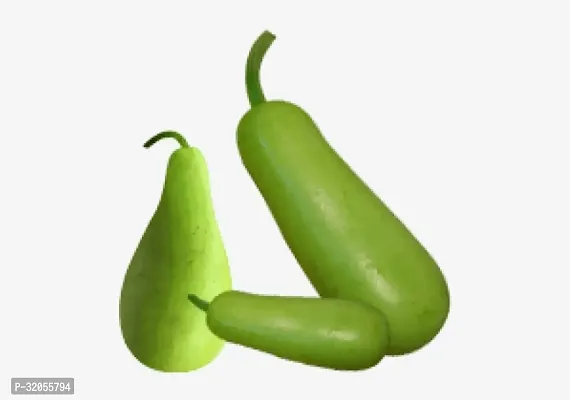 Long Bottle Gourd Seeds-100 Seeds per packet-thumb0