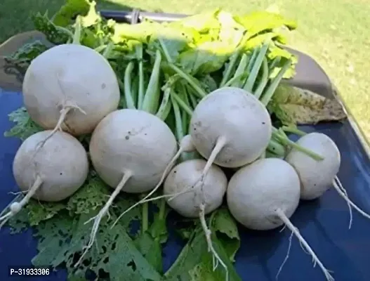 Vegetable Organic Turnip Seeds -200Seeds