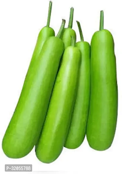 Round Bottle Gourd, Ghiya-100 Seeds per packet-thumb0