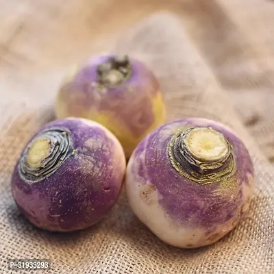 Vegetable Organic Turnip Seeds -800Seeds-thumb0