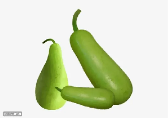 Long Bottle Gourd-116-Sd-250-Seeds