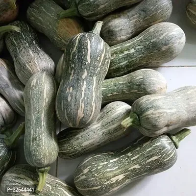 High Quality Pumpkin Squash Vegetable Seed 100