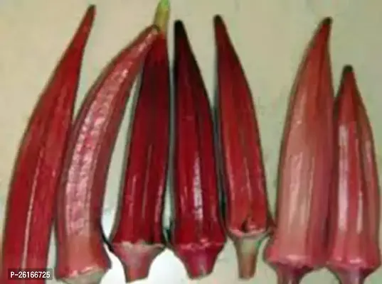 B841-2161-Red -Bhindi Seed-250 - Seeds-thumb0