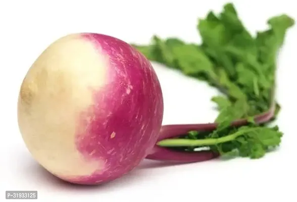 Vegetable Organic Turnip Purple-500 Seeds-thumb0