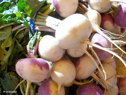 Vegetable Organic Turnip Seeds -200Seeds