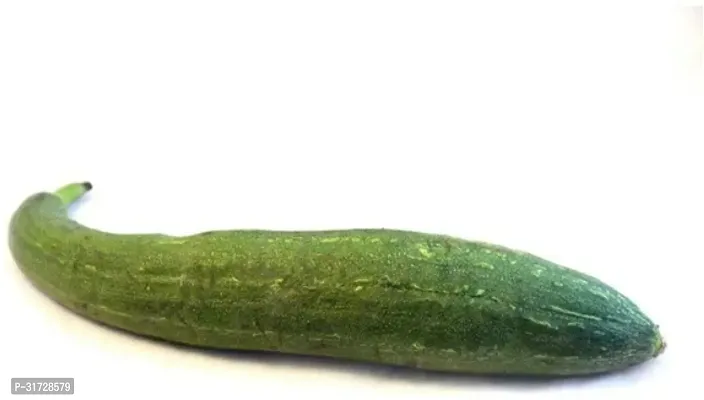 SD-1048 Sponge Gourd-300-Seeds