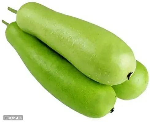 Long Bottle Gourd-115-Sd-400-Seeds-thumb0