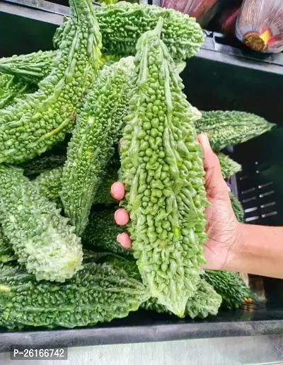 249-Karela Seeds -399-50 -Seeds-thumb0