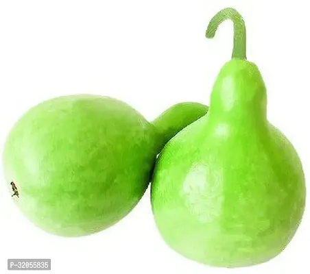 Long bottle gourd-200 Seeds per packet-thumb0