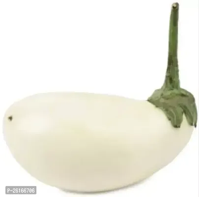 699-Long White Brinjal-75 -FR- 3000-SD Seeds