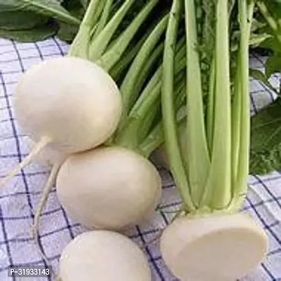 Vegetable Organic Turnip Seeds-2000-thumb0