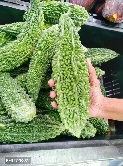 Karela Seeds -KS-615-80 -Seeds-thumb0