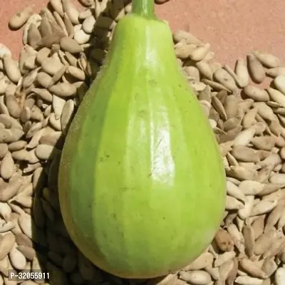 Bottle Gourd Seeds | Lauki Dudhi-400 Seeds per packet-thumb0