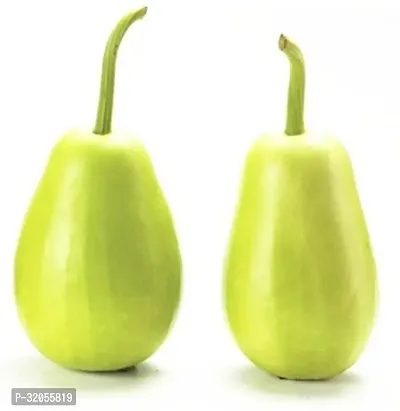 Bottle Gourd Gol Ghiya Seeds-150 Seeds per packet-thumb0