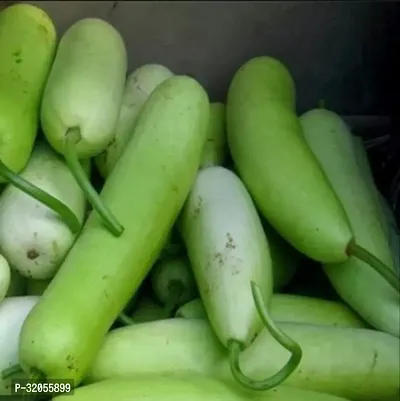 Long bottle gourd-350 Seeds per packet-thumb0