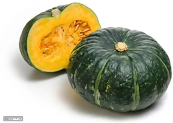 High Quality Pumpkin Squash Vegetable Seed 100-thumb0