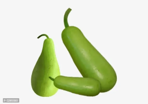 Round Lauki Bottle Gourd Seeds-800 Seeds per packet-thumb0